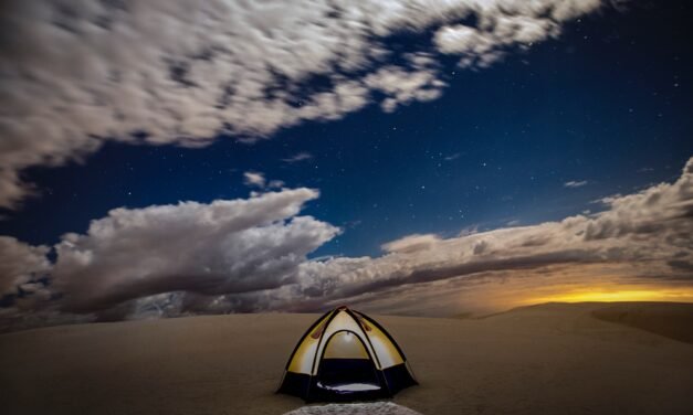 Top 5 Largest Deserts in the World: Exploring Arid Landscape